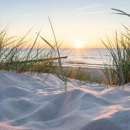 White Pearl 0.04 * تيميندورفير ستراند