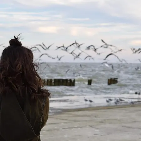 White Pearl 0.04 * Timmendorfer Strand