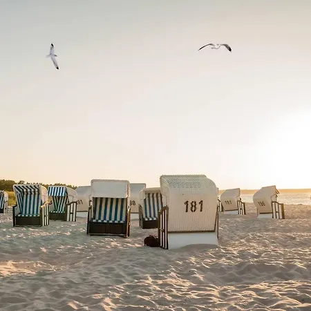 White Pearl 0.04 טימנדורפר שטרנד