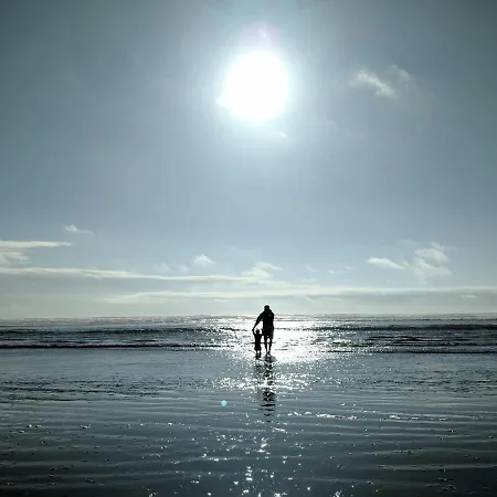 White Pearl 0.04 شقة