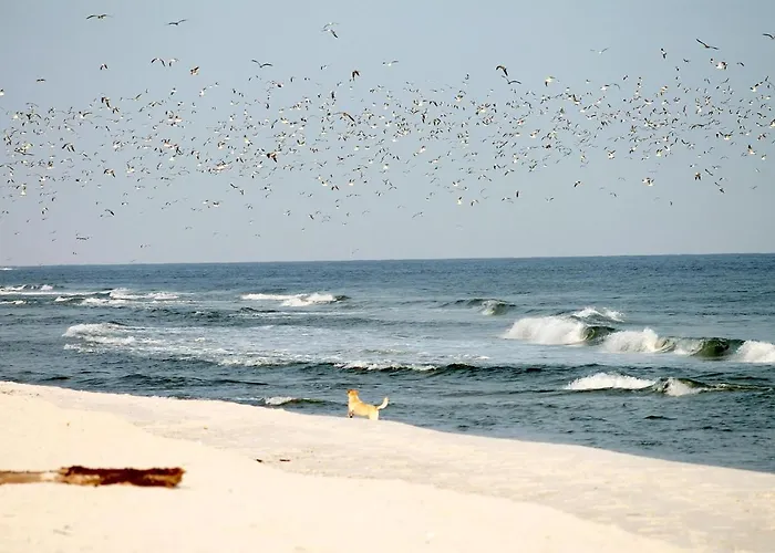 White Pearl 0.04 Lägenhet Timmendorfer Strand